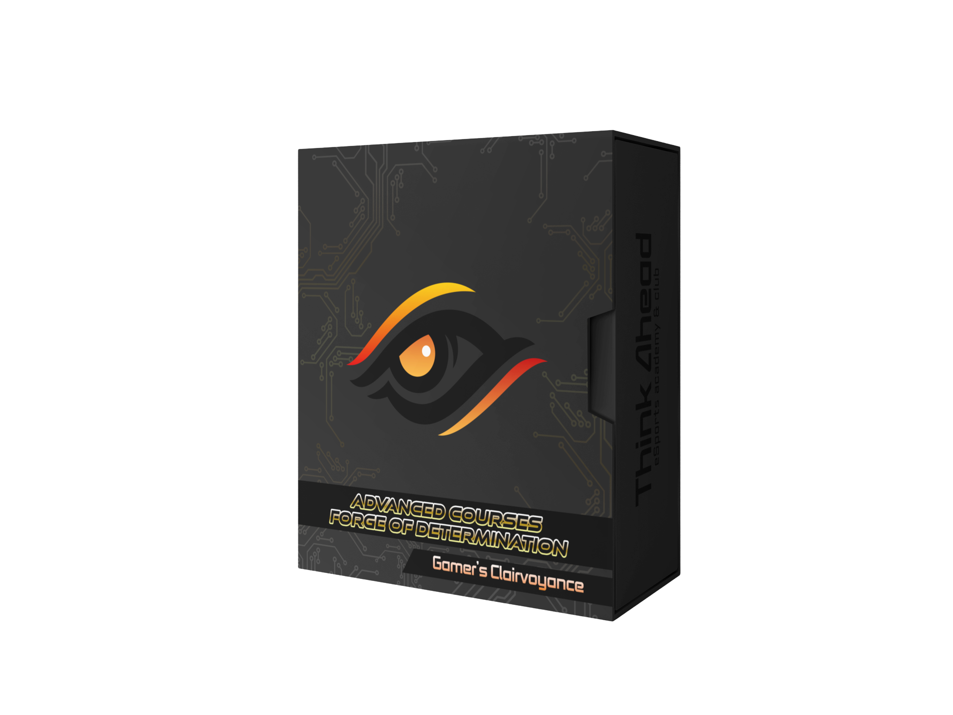Advanced Course: Gamer's Clairevoyance