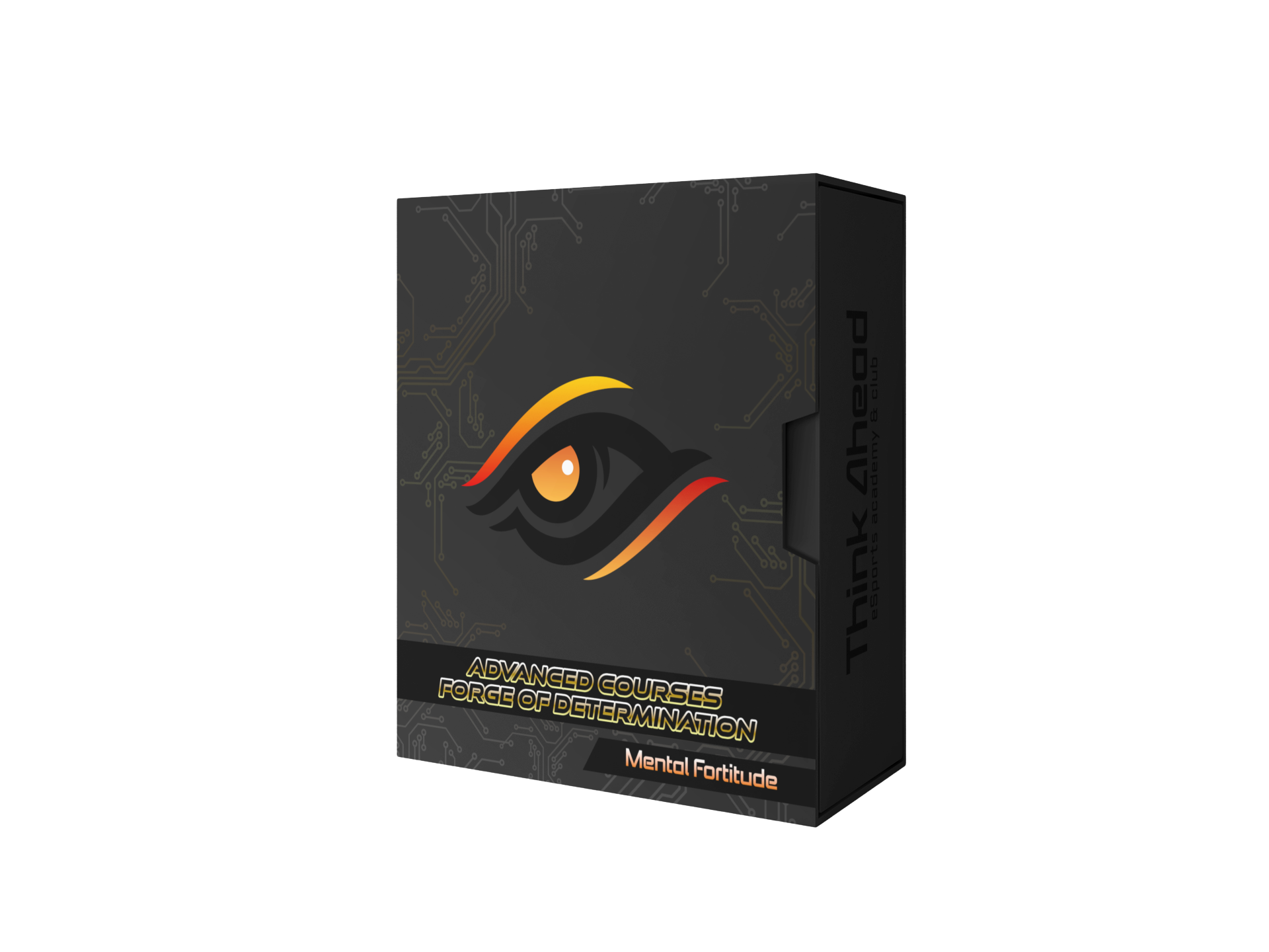 Advanced Course: Mental Fortitude