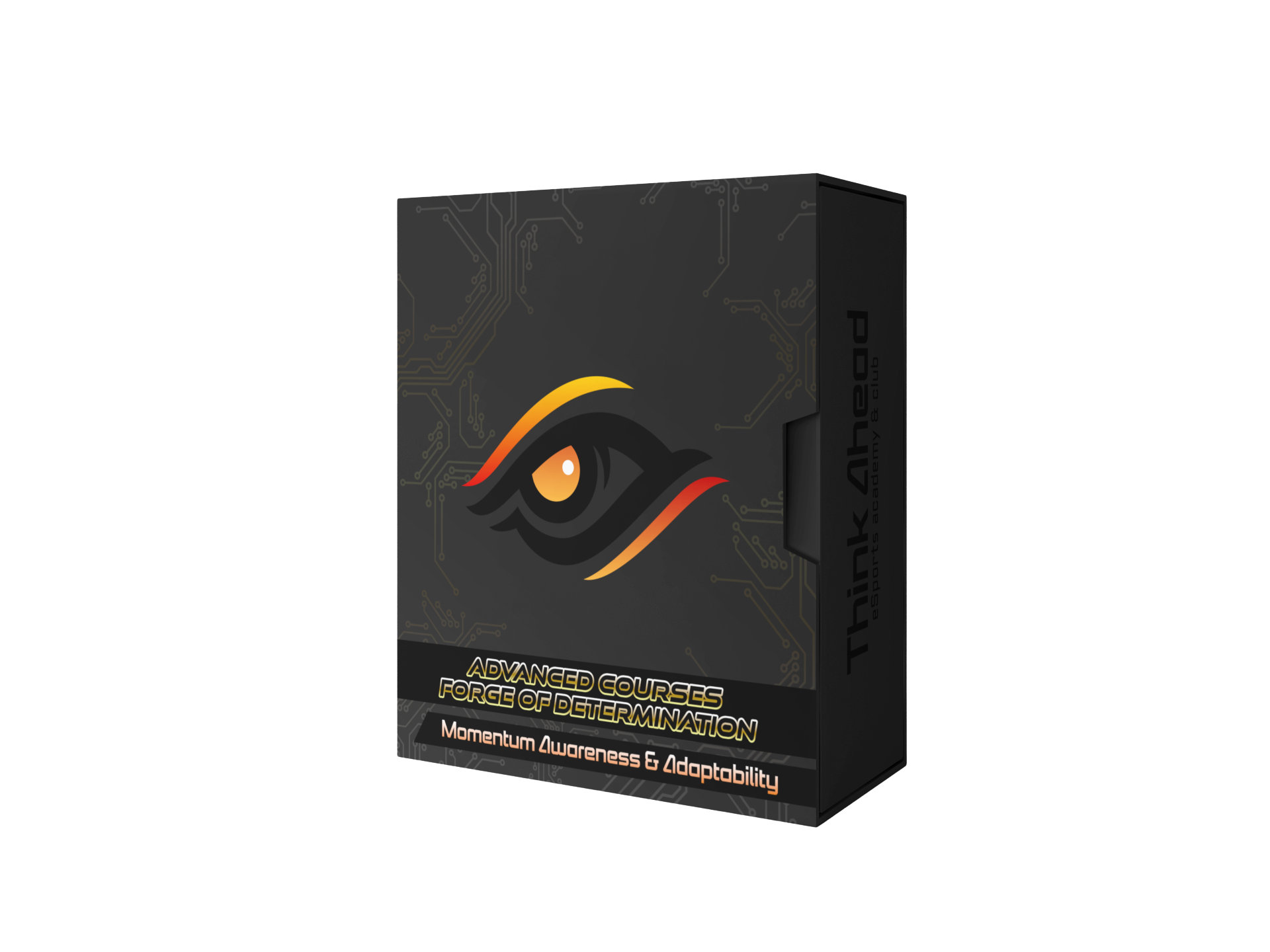 Advanced Course: Momentum Awareness & Adaptability